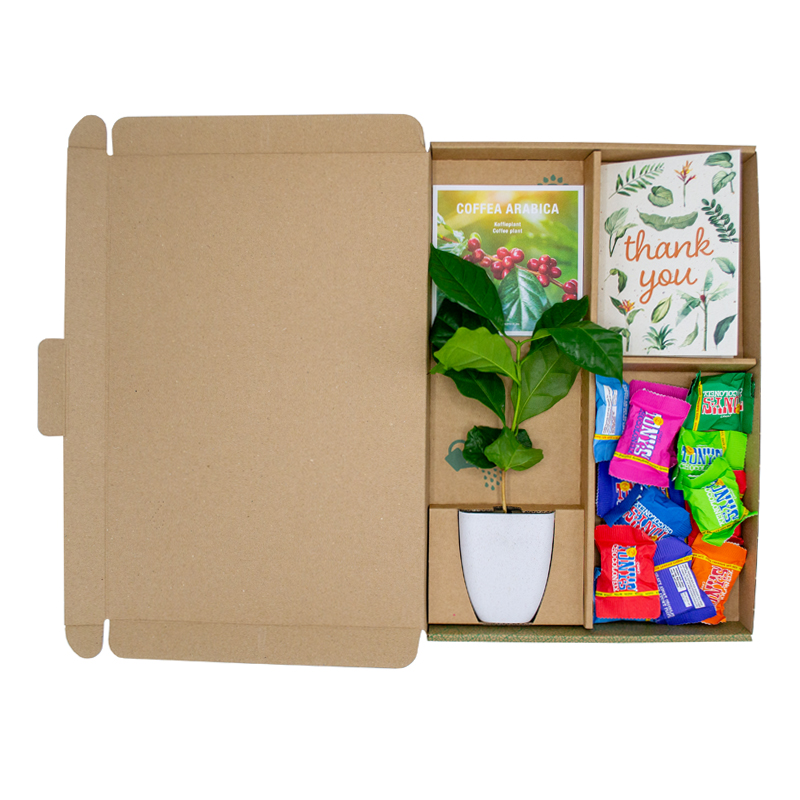 Cadeau arbre avec Tiny Tony's